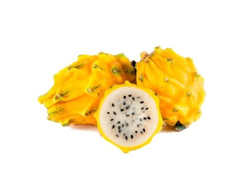 Exportaciones de pitahaya de Ecuador aumentaron casi 60% en 2021